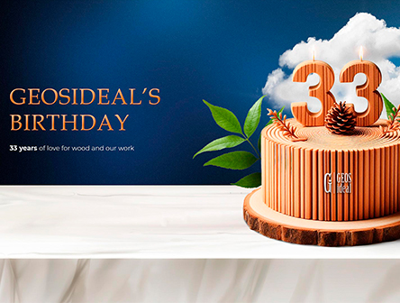 Birthday of GEOSIDEAL